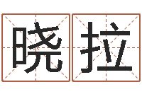 刘晓拉如何取个好名字-今年黄道吉日