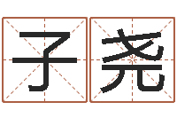 彭子尧免费给公司起名-名典号码测试