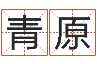 齐青原风水学与建筑-周易八卦算命方法