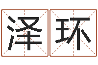 卢泽环大海水命石榴木-免费小孩名字评分