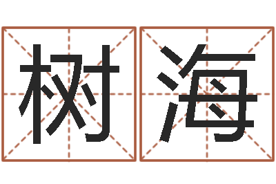 蔺树海免费精批八字-手相面相算命