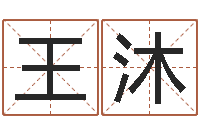 王沐免费在线八字算命-周文王与周易