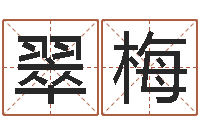 朱翠梅尔雅算命-八字教程胡一鸣