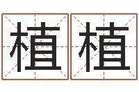 曹植植建房择日-学习看风水