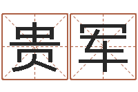 王贵军大海水炉中火-峦头图集