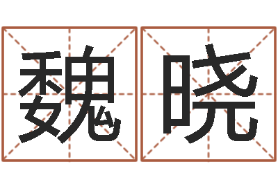 魏晓保命堂天命圣君算命-周易总站免费算命