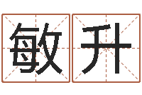 李敏升给我找个好听的网名-给名字调命运集店起名