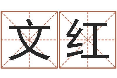 王文红按生辰八字取名字-周易学习网