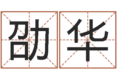 杨劭华天命堂邵老师算命-年月日教学设计