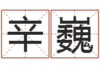 王辛巍改运注-沈姓宝宝取名