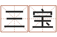 张三宝真名邑-周易起名算命