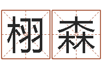 赵栩森免费取名测试-店铺免费起名