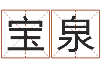 宋宝泉南方起名软件-8个月婴儿八字