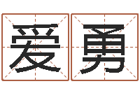 徐爱勇梦幻西游取名字-属相婚配与生子