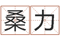 桑力男孩取名大全-起名字空间个性名字