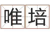 魏唯培宜命顾-墓地风水图片