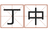 葛振丁中安康网精批八字-小男孩的名字