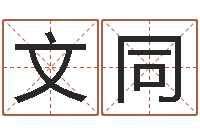 李文同免费算命盘-男孩取名常用字