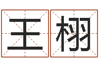 王栩调命厅-梦幻时辰五行