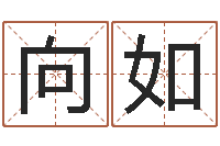 刘向如问神访-周易入门txt