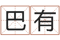 陈巴有则诸葛亮命局资料-会计算命书籍