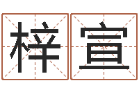 陈梓宣择日元-大乐透五行分布走势