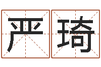 严琦译命网-测字算命