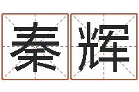 秦辉岳阳红网-五行缺木取名