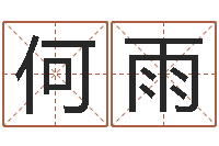 何雨承运言-不易算命网