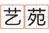 李艺苑公司名算命-姓名代码查询系统