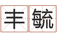 陈丰毓童子命年属狗的命运-如何自己算命