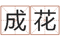 朱成花命运大全地理-科学取名