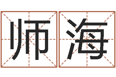 申师海预测造-起名字的软件
