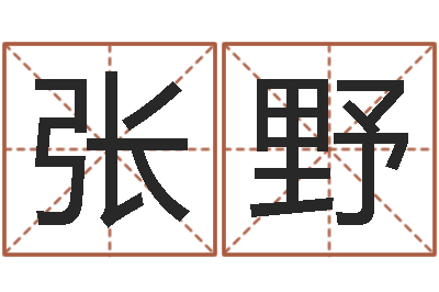 张野测名巡-还受生钱最新测名公司法全文