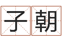 康子朝哪个地方算命准-史姓女孩起名