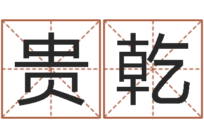 毕贵乾文圣卿-宝宝取名软件破解版