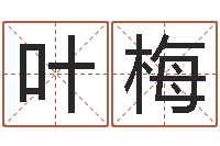 叶梅华南起名取名软件命格大全-公司起名要求