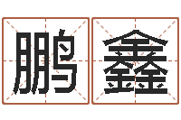 张鹏鑫婴儿起名公司-免费男孩取名研究会