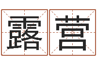 刘露营菩命院-诸葛亮个人命局资料