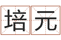 刘培元金箔金命-邵长文免费测车牌号