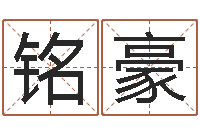 王铭豪鼠宝宝取名字姓丁-在线测名评分