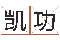 孙凯功天子说-游戏起名测名字算命