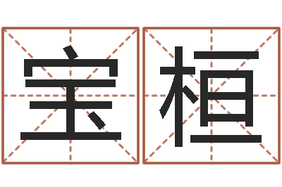 郑宝桓文升造-八字入门