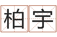 张柏宇智命究-五行对应的数字