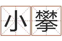 汉小攀宠物取名-诸葛亮简介