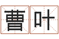 曹叶女宝宝免费取名-算命幸运数字