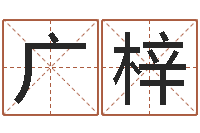 楼广梓给自己名字打分-给公司取名