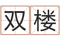 陈双楼正命城-炉中火命好不好