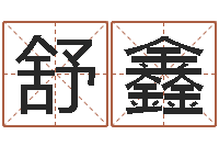 吴舒鑫智命导-霹雳火动画片