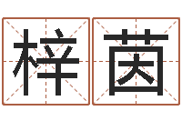 匡梓茵国学总站-属相月份配对查询